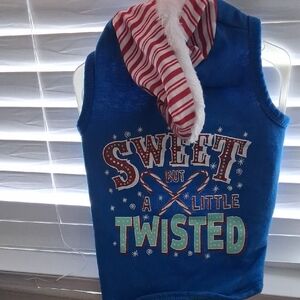 Blue Holiday Dog Hoodie